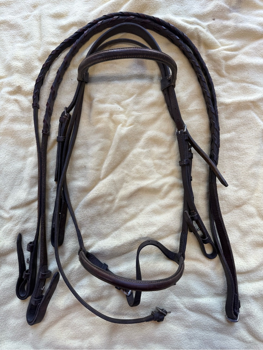 Pony bridle and reins
